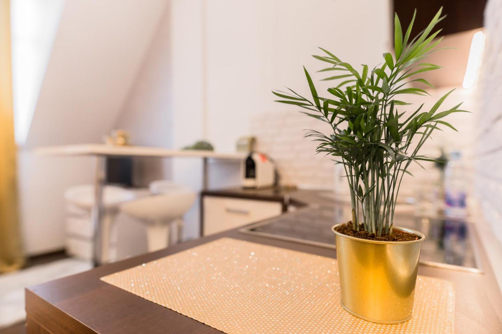 Goldeneye Apartment Center Breslavia Esterno foto